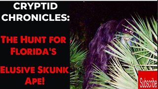 SWAMP SAGA UNRAVELED The Hunt for Florida's Elusive Skunk Ape