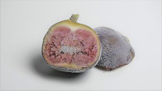 Fig timelapse from fresh to mouldy