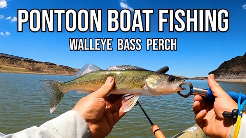 Pontoon Boat Fishing for Walleye, Bass, and Perch | Colorado XT