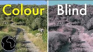 🔴 Colorblind People See Color For The First Time | Best Emotional Reactions 2