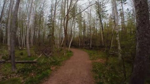 Hiking Through Bubbling Springs Trail, Brackley PEI