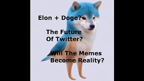 Elon + Doge? The Future of Twitter: Will the Memes Become Reality?