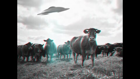 We Know What's Doing Cattle Mutilations & It's More Sinister Than Aliens! Christopher O'Brien