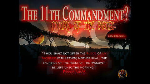 [The Mark of the Beast] The 11th Commandment? - Final thoughts