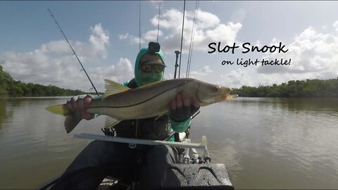 Slot Snook on Light Tackle w/gear report