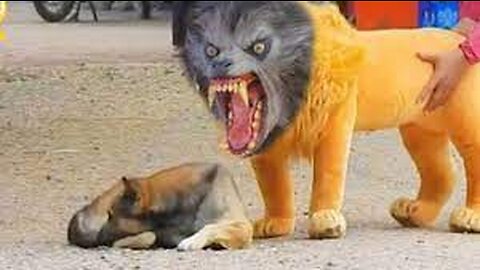 Troll Prank Dog Funny & fake Lion and Fake Tiger Prank To dog