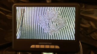 SIlVER COINS UP CLOSE! Amazing Digital Microscope Review