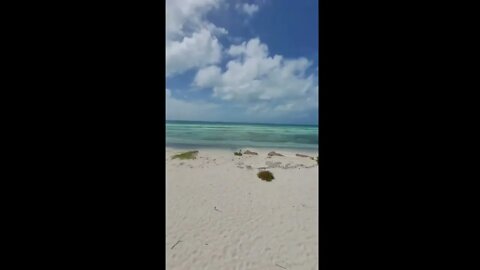 Cuba / остров Кайо Бланко / Куба / океан #natureshortsvideo