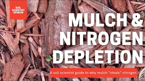 Does Mulch Tie Up Nitrogen? Should You Add More Nitrogen If You Mulch Your Garden? | Soil Scientist