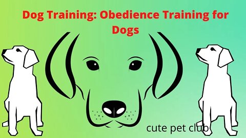 #shorts# #doglover #dogs Training Obedience Training for Dogs