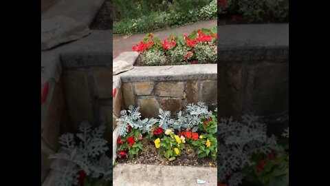 Flower garden and wishing well