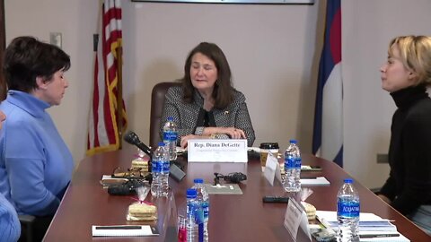 US Rep. Diana DeGette holds discussion with three recently-escaped Ukrainians
