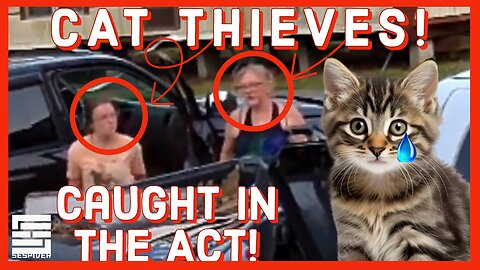 CAT THIEVES CAUGHT IN ACT! - Case Ongoing [June 8th, 2024]