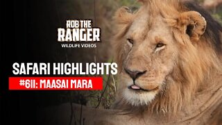 Safari Highlights #611: 11th August 2021 | Maasai Mara/Zebra Plains | Latest Wildlife Sightings