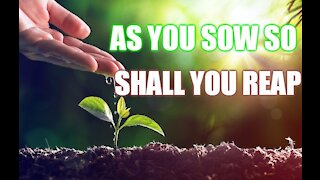 Gospel of Love Video Series (13) - As you sow, so shall you reap