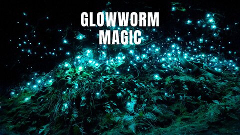 Glowworm Magic #urban #music #adventure #travelmusic #GlowwormDreams #WaitomoCaves