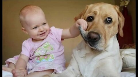 hysterical laughter of children with dogs - babies laughing