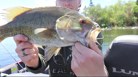 Fish at EVERY Spot! Shoal Lake, Ontario Smallmouth Mission