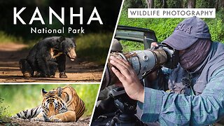 Wildlife Photography in Kanha National Park | TIGER COUNTRY Ep. 2 - The Real Life Baloo