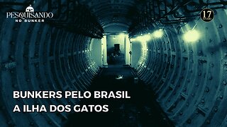 BUNKER 01: Bunkers pelo Brasil - A Ilha dos Gatos