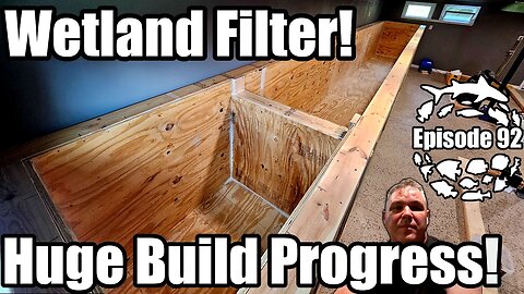 Huge 4,500 Gallon DIY River Aquarium Build Progress and Wetland Bog Filter Build!