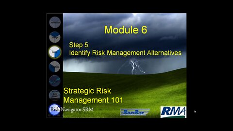 Module 6 Risk Management Strategies