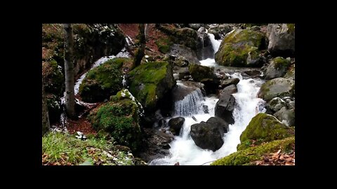 Snow & Water | Water Sounds for Relaxation or Sleep | Soothing Stream #RiverSounds #Relaxation