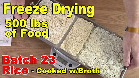 Freeze Drying 500 lbs of Food - Batch 23 - Rice, cooked w/chicken broth