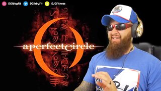 A PERFECT CIRCLE - ORESTES | - REACTION