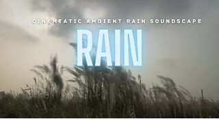 RELAX in Less Than 10-Minutes: Ambient Rain Soundscape