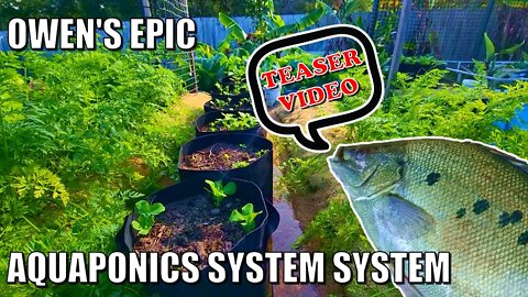 Owen's EPIC Aquaponics System TEASER