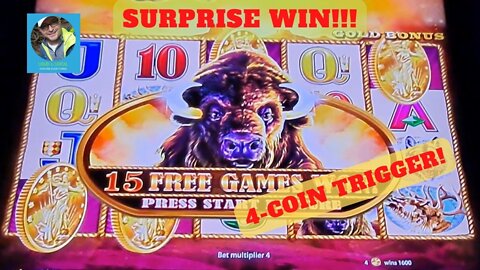 Buffalo Gold Collection 4-Coin Bonus Trigger Slot Wins with Loud & Local