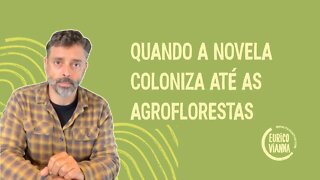 QUANDO A NOVELA COLONIZA ATÉ AS AGROFLORESTAS