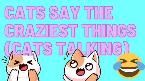 Cats Say The Craziest Things (Cats Talking)
