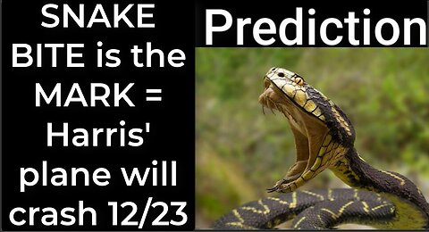 Prediction - SNAKE BITE prophecy = Harris' plane will crash Dec 23