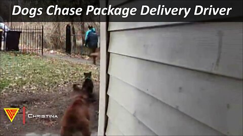 Dogs Chase Package Delivery Driver Caught on Ring Camera | Doorbell Camera Video