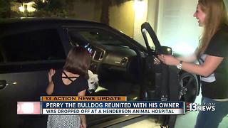 Dog feared stolen, returned to owners