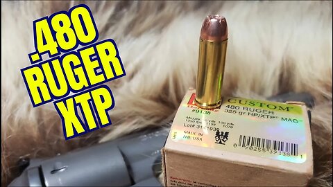 .480 Ruger Hornady XTP