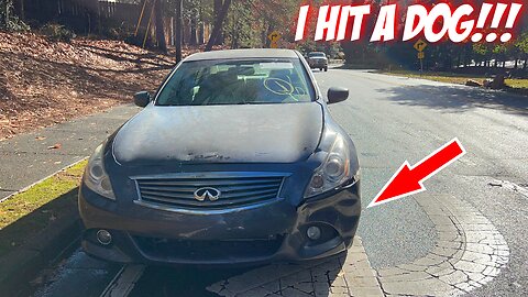 I HIT A DOG & WRECKED MY CAR THE FIRST DAY I BUYING IT FROM COPART!