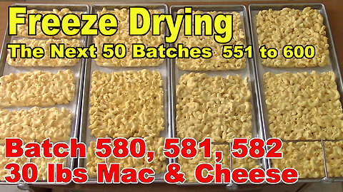 Freeze Drying - The Next 50 Batches - 30 lbs of Molly's Kitchen Macaroni and Cheese