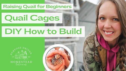 Easy Stacked Quail Cage - DIY