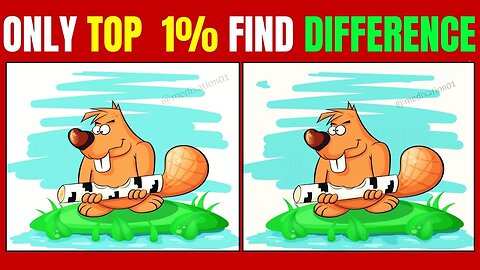 Spot The Difference : Only Top 1%[ Find The Difference #3]