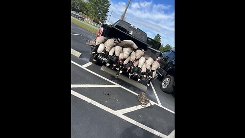 North Carolina Waterfowl Adventure: Epic Goose Hunt!