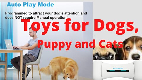 Toy for Dog, Puppy and Cat, App Control, Safe & Durable, Smart Bone