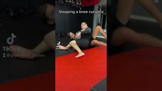 Countering knee cut #martialarts #mma #bjj