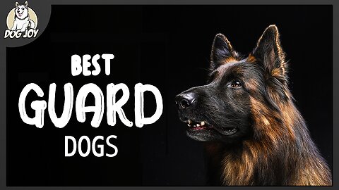 Best Home Guard Dogs