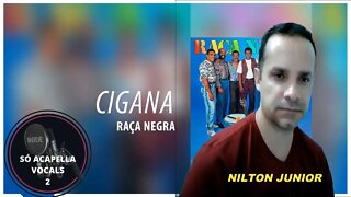 Cigana - Raça Negra (Nilton Junior) ACapella