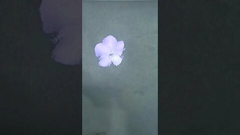 Oddly satisfying beautiful flower painting using one stroke technique#art #paintng #easy