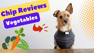 Chip Reviews - Episode 1 - Our Dog Reviews Vegetables and Eats Broccoli, Carrots and Peas