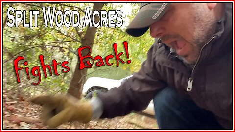 Split Wood Acres Fights Back And Blood Will Be Spilled!
